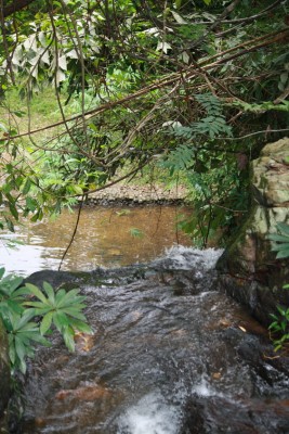 Than Thip waterfall 4 UM.jpg