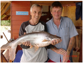 Caught at Donal's Place a couple of weeks ago..png