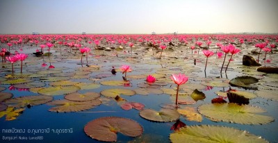 Lake Bua Daeng.jpg