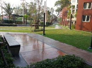 garden area.jpg