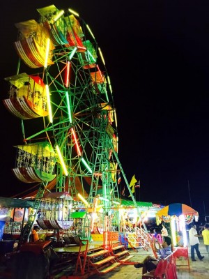 provincial fair-2015-5.jpg