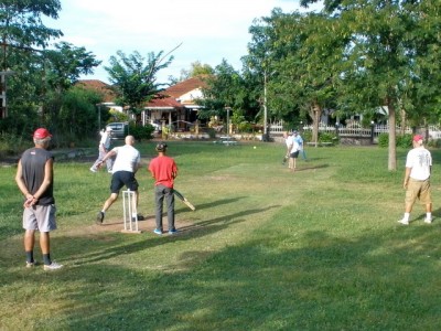 Sookasem Cricket .JPG