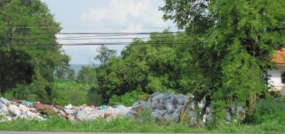 what was until recently a vacant lot next to the recycling shop.JPG