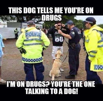 The-dog-tells-me-you-are-on-drugs.jpg