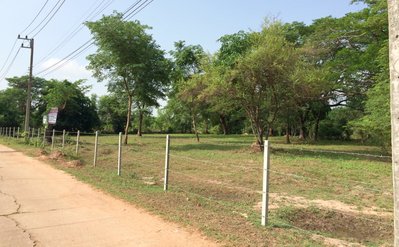 NHM b front road.jpg