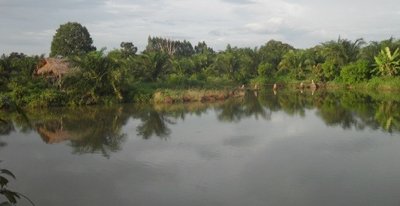 pond1.jpg