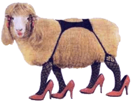 attractive sheep.png