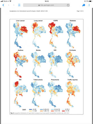 Thai Respiratory Diseases - Medical Study.jpeg