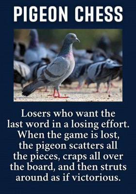 pigeon chess.jpg