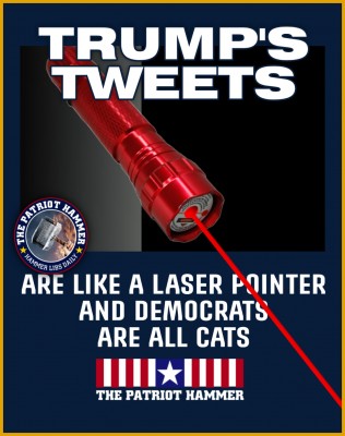 laser pointer.jpg