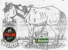 origin of heineken.jpg