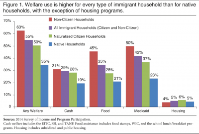 Entitlements for Immigrants.png