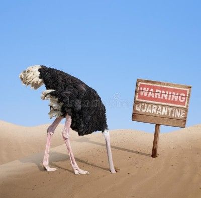 ostrich-head-sand-warning-quarantine.jpg