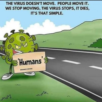 Virus.jpg