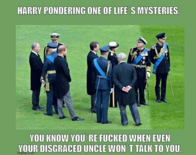 harry.png